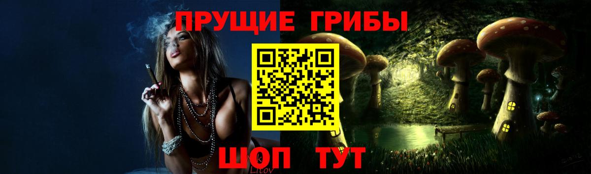Подольск  наркотики  Вход с VPN  Псилоцибиновые грибы Magic Shrooms  Галлюциногенные грибы Psilocybine cubensis 